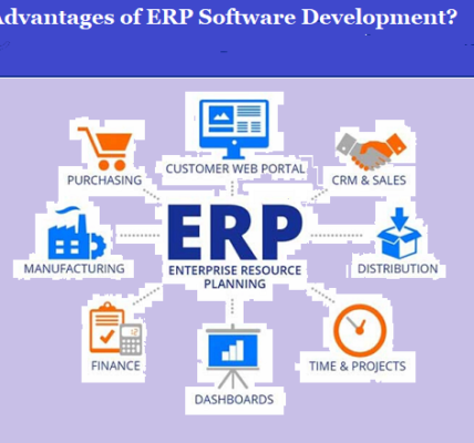 What are the Advantages of ERP Software Development