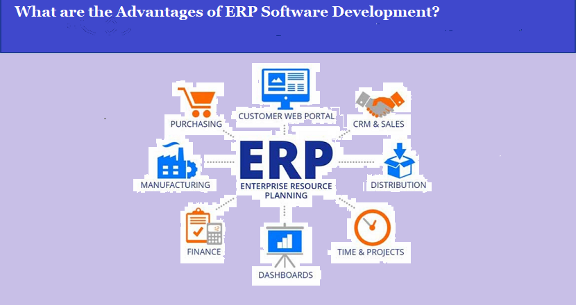 What are the Advantages of ERP Software Development