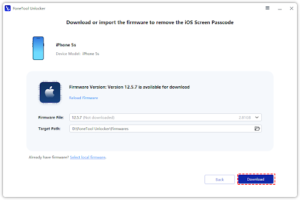 Choose the targeted Firmware File for your iPhone > Click the Download button to get it.